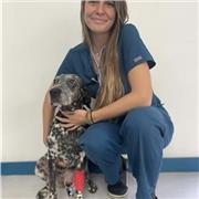 Profesor de Veterinaria, que se puede adaptar tanto a estudiantes de Veterinaria, Bienestar Animal, Técnico/Asistente Veterinario